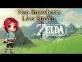 Breath Of The Wild Linkle ''No cooking & No map'' part one