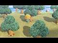 How to get more Tree Branches in Animal Crossing: New Horizons