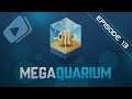 Megaquarium #FR - Episode 13