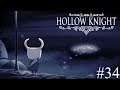 Stupid Happy | Hollow Knight (Part 34)