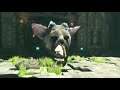 Let's play The Last Guardian (part 3)