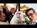 WILD MONKEYS, CAPSULE HOTELS, & TEMPLES - SuperMega JAPAN VLOG #3