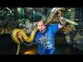 SWIMMING WITH A HUGE ANACONDA!! | BRIAN BARCZYK