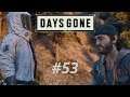 #53 Das Ende des Weges-Let's Play Days Gone (DE/Full HD/Blind)