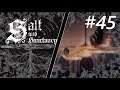 Salt and Sanctuary Gameplay Deutsch | #45 - Die unsichtbaren Geisterkinder!!