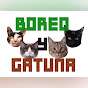 Boreo y Gatuna