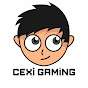 Cexi Gaming