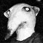 Deathcom7