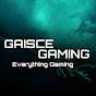 Sentinel Gaming