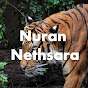 Nethsara Creations.