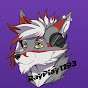 RayPlay1193