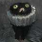 Sir Gatto