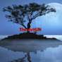 The xyHUN