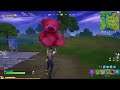 Carry a Giant Pink Teddy Bear Found in Risky Reels - Fortnite