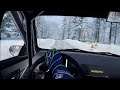 Dirt Rally 2.0 - Swedish winter rally -Skill and experience - We are not afraid of snow - Stage 4