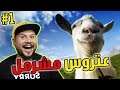 العتروس #1 : جربت نعيش حياة الجدي نهار كامل في المدينة
