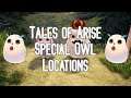 Tales of Arise - Special Owl Locations