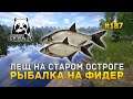 Лещ на Старом Остроге. Рыбалка на Фидер - Русская Рыбалка 4 #187