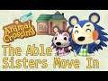 Animal Crossing:New Horizons #31 The Able Sisters Move In