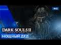 Вендрик - Dark Souls: Scholar of the first sin - 43