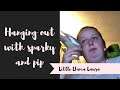 Hanging out with sparky and pip| little llama laura| lives