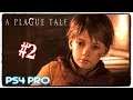 HatCHeTHaZ Plays: A Plague Tale: Innocence - PS4 Pro [Part 2] - 1080p