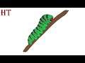 How To Draw A Caterpillar easy Step by Step