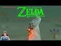 Let's Play The Legend of Zelda Breath of the Wild Challenge 100% Part 58: Gerudo Riesen-Fossil