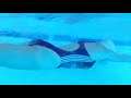 Melissa Sagemiller One-Piece Red Swimsuit Underwater Scene