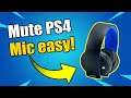How to MUTE any PS4 Microphone and PS4 Camera Mic (Easy Method)