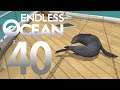 Let's Play Endless Ocean, ep 40: The occasional plot point
