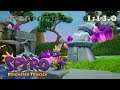 Let's Play Spyro Reignited Trilogy | Spyro the Dragon: Part 24 - Wild Flight