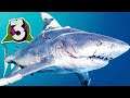 Maneater - ADULT SHARK EVOLUTION - Part 3
