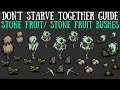 Stone Fruit Bushes & Stone Fruit - Don't Starve Together Guide [Return of Them] [Lunar Island]