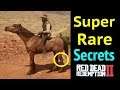 Super Rare Secrets in Red Dead Redemption 2 (RDR2): Tiger Striped Bay Mustang