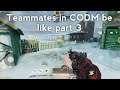 Teammates in codm be like part 3