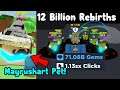 Dev Made Me A Pet! Got 12 Billion Rebirth & 71 Billion Gems! - Clicking Simulator 2.0