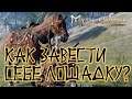 Myth of Empires. Как приручить и ездить на лошади?