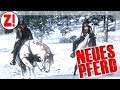 Seasonpass Leveln mit dem neuen Pferd! | Red Dead Redemption 2