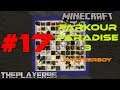 Minecraft, Parkour Paradise 3 #17 w/WitherBoy