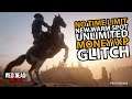 No Time Limit Money Glitch New Warm Spot Unlimited Money/XP Glitch  Red Dead Online (Cumber Forest)