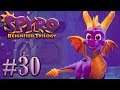 PORQUE LA TORPEZA NO SE HACE SOLA | [Spyro Year of The Dragon] Spyro Reignited Trilogy #30