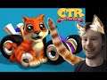 PURA THE CUTE TIGER | Crash Team Racing
