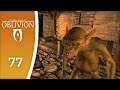 Burn all the poppies, I suppose - Let's Play Oblivion (with graphics mods) #77