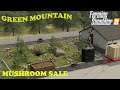Green Mountain Forest Ep 37     Morning of pallets     Farm Sim 19