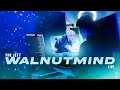 More Grind  || Rank- d2 || Valorant Live #FE #Walnutmind