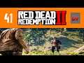 Red Dead Redemption 2 Part 41. A variety of tasks. (Story Mode Blind)