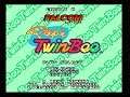 SNES - Nintendo Switch Online Part 16: Pop'n TwinBee