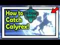 How to catch Calyrex in the Crown Tundra! | Pokemon Sword and Shield DLC 2 (FULL GUIDE)