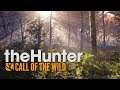 Let's play Hunter: Call of the Wild Deutsch Teil 1